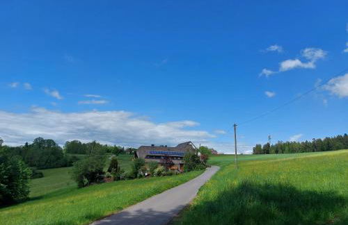 Ferienwohnung Hardt im Schwarzwald - Foto 21