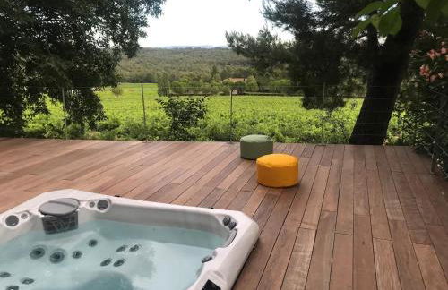 La Bastide - Le Grenache - Le Syrah au Domaine Chateau Henri Bonnaud - Foto 26