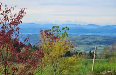 Lueginsland - Foto 11