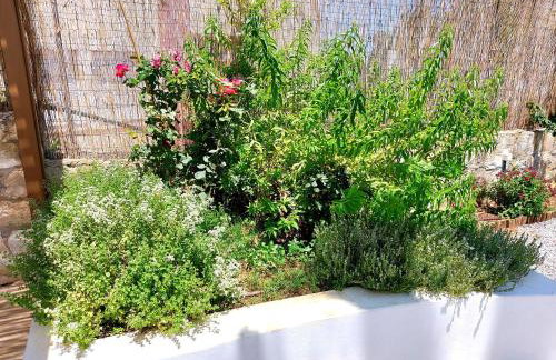 Αngélique Pool garden apartment - Foto 70