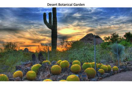 Renovated private in the heart of Old Town Scottsdale, pool & hot tub, outdoor bar & kitchen, walk to shops & bars - Foto 43