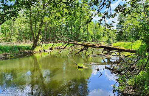 Villa Stare Osieczno - Foto 61