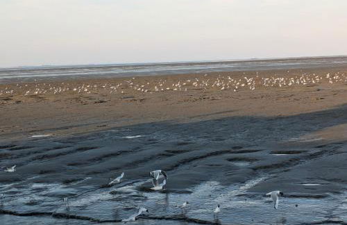 Drei-Insel-Blick Neßmersiel - Foto 43