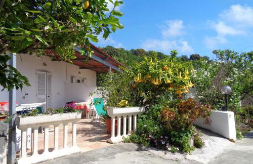 Residence Limoneto Ischia - Foto 21