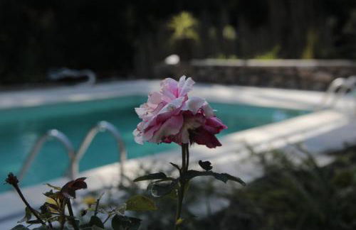 Bosque dos Amieiros - Foto 66