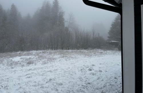 Ferienhaus Waldsiedlung - Foto 21