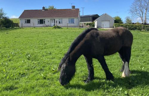 Betty's Farm Cottage - Foto 65