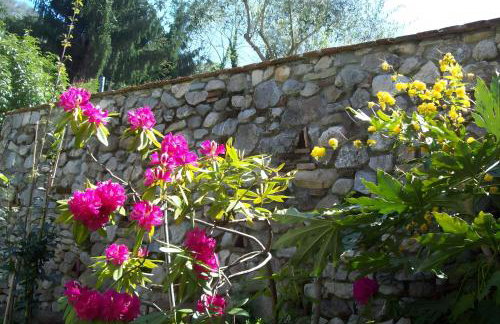 Villa con parco e piscina-Camaiore - Photo 21