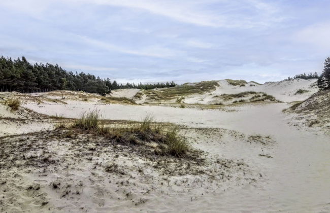 3 bedroom House in Choczewo with garden and terrace - Photo 17