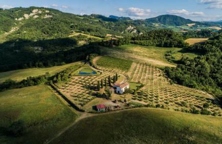 Libero Ranch - Foto 25