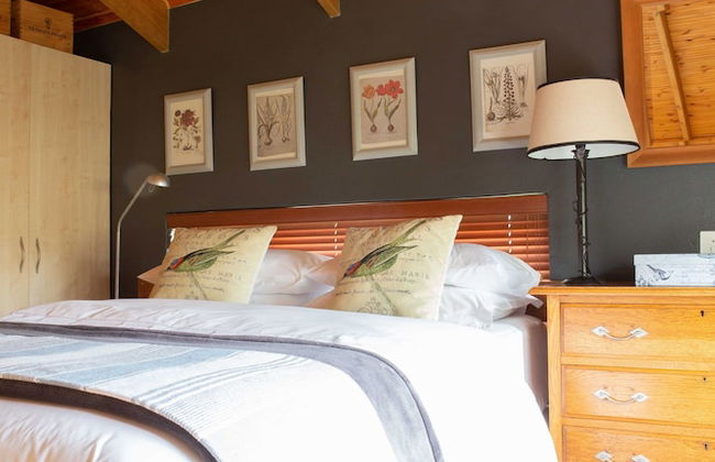 Theebos Anneline's Self Catering Apartments - Photo 5