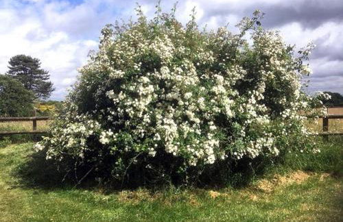 Highfield Lodge - Photo 6