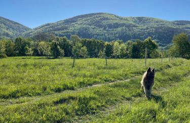Świerkowy Zakatek - Foto 37