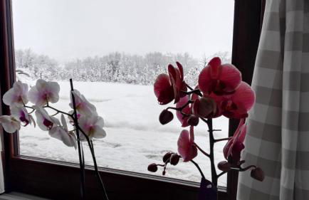 B&B CasalFarano - Foto 26