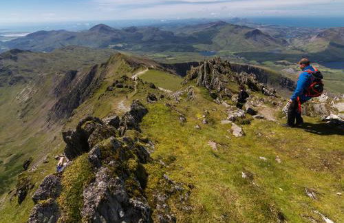 Dol Y Mynydd The Mountain Meadow - Cottage - Photo 43