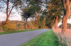 Ferienwohnung GeestZuhause - Foto 7