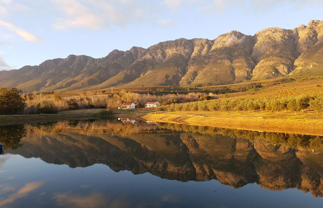 Fraaigelegen Farm - Photo 31