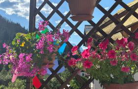 Appartamento Elena - Photo 18