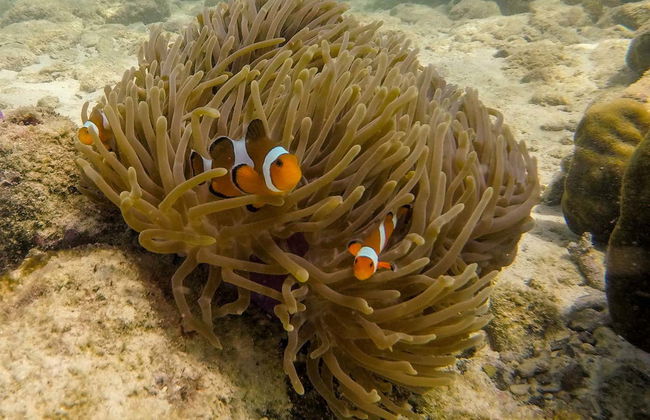 Tour in Krabi - Foto 6