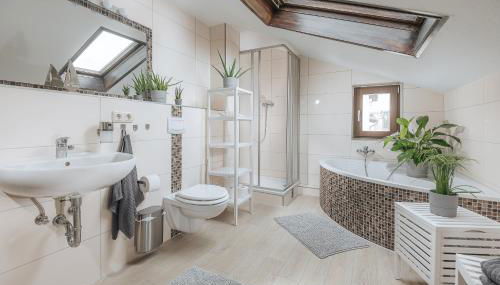 Große Koje mit Terrasse - Foto 4, Shower