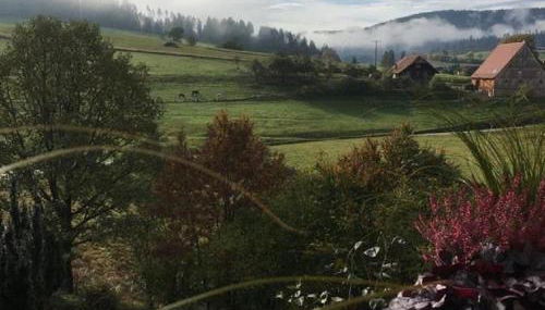 SchwarzWild - Ferienwohnung und Ferienzimmer - Foto 3