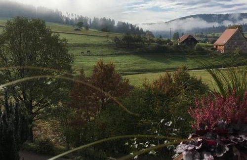 SchwarzWild - Ferienwohnung und Ferienzimmer - Foto 3