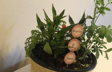 Casa perto do centro vale dos vinhedos, caminhos de pedra - Foto 17