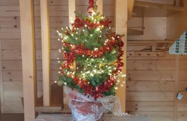 U Kazika w górach - Foto 32