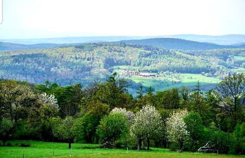 Geishöhe Landgasthof Rose Dammbach - Foto 10