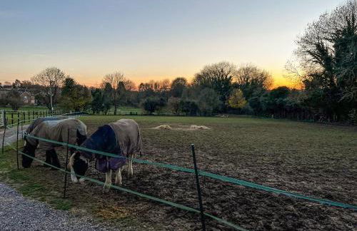 South Downs Lodge - Photo 14