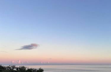 Cantinho dos Cagarros - Photo 15