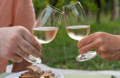 Bio Agriturismo Vojon - Foto 71