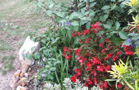 Maison à la Campagne - Foto 50