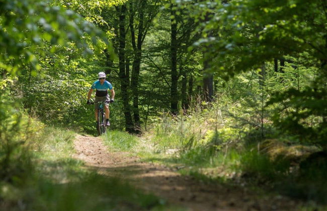 Cozy Holiday Home With a Private Garden - Photo 36