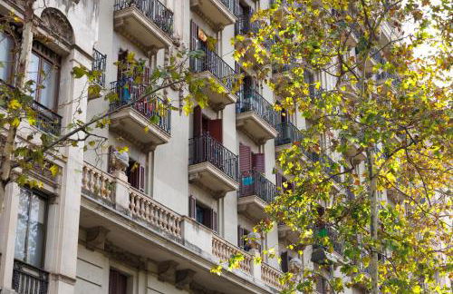 Stylish Apartment near Plaça España - Foto 32