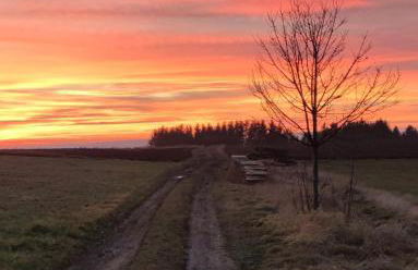 Ferienhaus VILLA ZAUBERBLICK am Rennsteig Frankenwald FREISTEHEND naturnah HUNDEFREUNDLICH eingezäunt - Foto 62