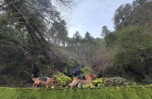 Cal Foraster - Foto 52