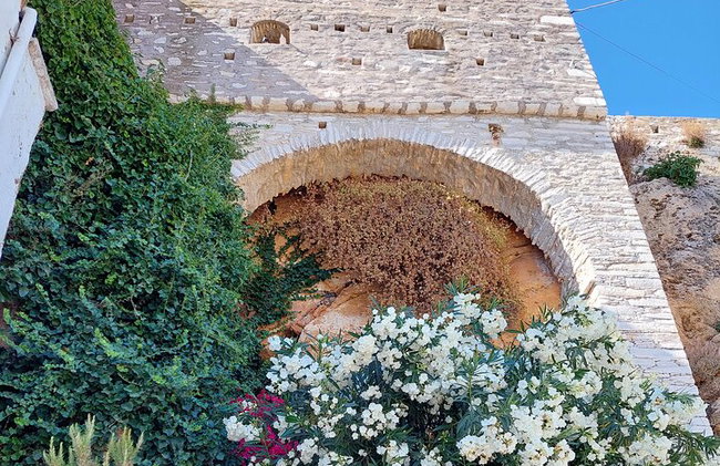 Tour privado de día completo en la isla de Naxos - Foto 25