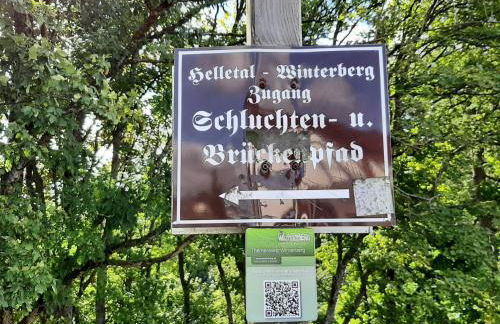 Ferienwohnung Zeitlos, gigantischer Seeblick, WLAN, gerne mit Hund - Foto 34