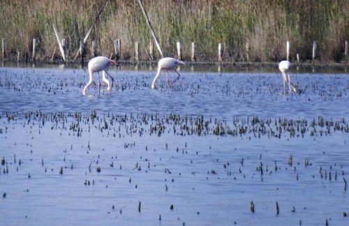 Holiday cottage with private terrace, Bellegarde - Foto 8