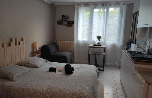 Lagny Evasion à Disney - Foto 3