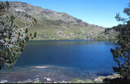 La Coberta-Lo Paller del Coc - Foto 24