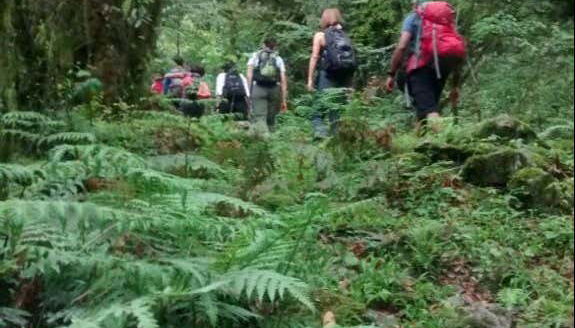 Paseando entre la naturaleza local