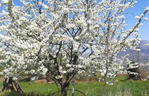 Gîte du Grand Delmas - Foto 23