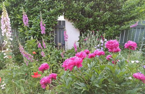 Ferienhaus Winkelhäuschen ab 3 Nächte max 4 Pers - Foto 11