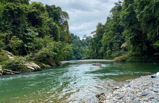 Observation d'orangs-outans à Gunung Leuser en 3 à 4 jours - Photo 7