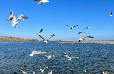 "Indaloo" apartment for couples, Para parejas solamente, EXCEPTIONAL! Vera Playa, Vera Costa, 200 m from the Las Marinas beach - Foto 37