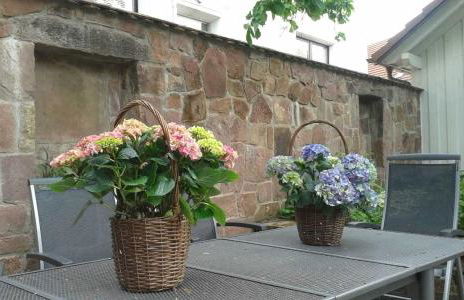 Galerie Ueber den Gaerten - Foto 39