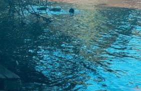 Harbor View Elite-Luxury Apartment-Amazing Views - Foto 14