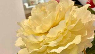 Puerta de Santa Maria Grupo AC Gestion - Foto 4, Other